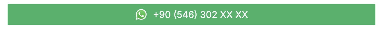 WhatsApp Ad Contact Button